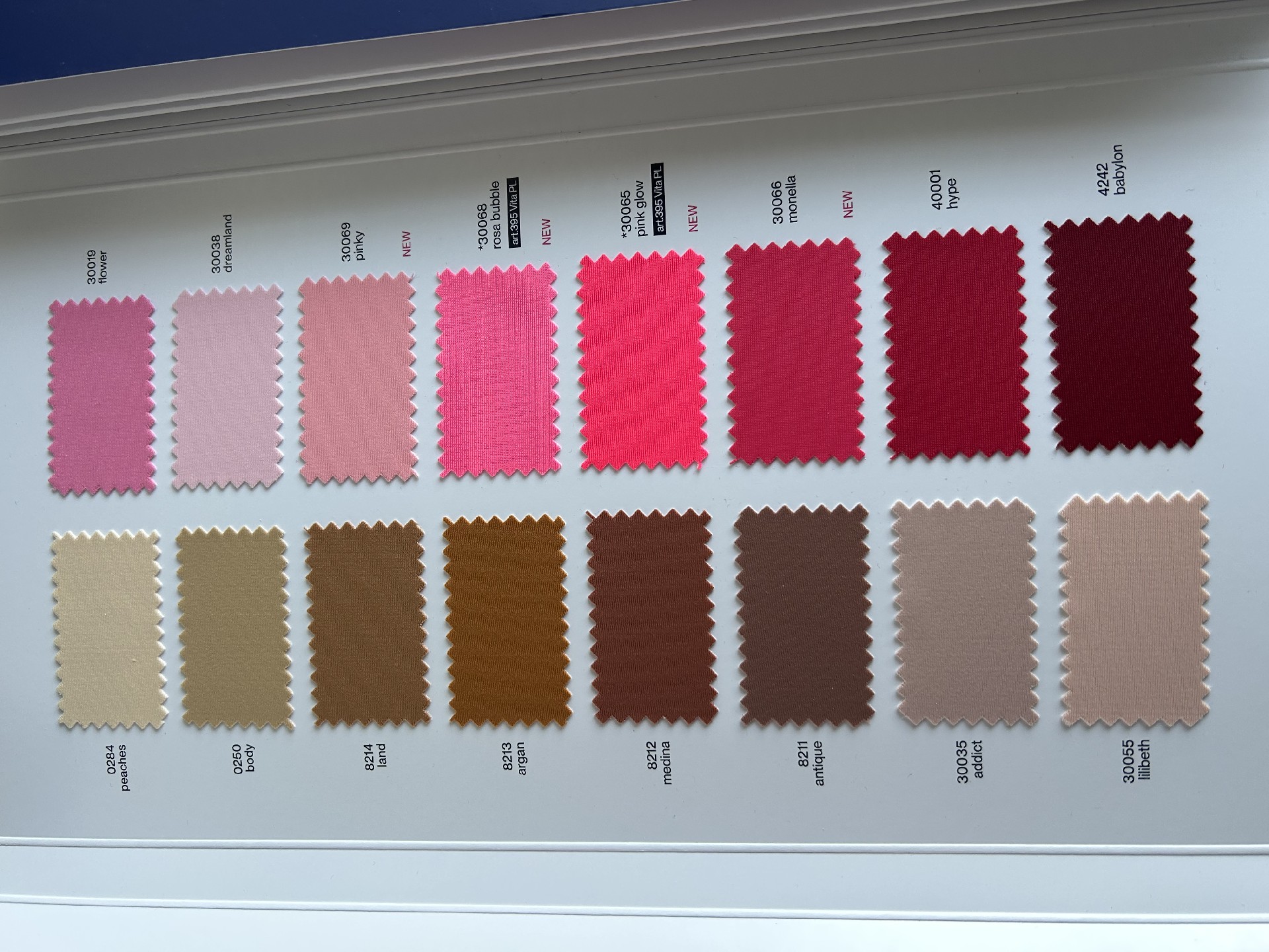 1734871864433830.jpg Carvico Vita two.jpg